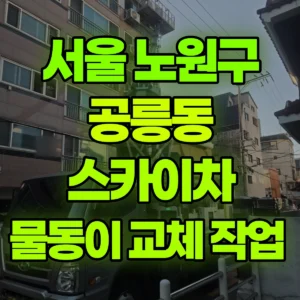 서울 노원구 스카이차 물동이 교체 작업  일대 후기