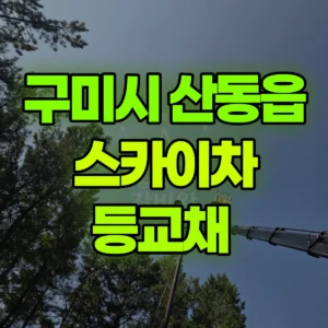 경북 구미시 스카이차 등교채  2시간 비용