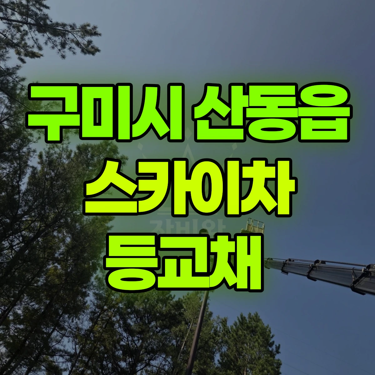 구미시 산동읍 스카이차 등교채 비용