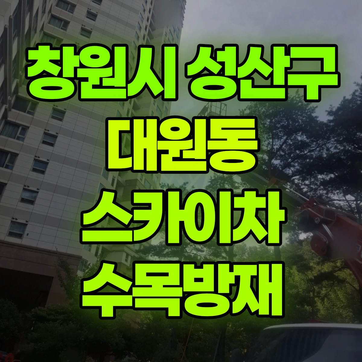 창원시 성산구 대원동 스카이차 수목방재 비용