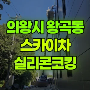 경기 의왕시 스카이차 실리콘코킹 2일 후기