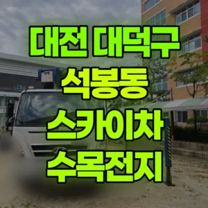 대전 대덕구 스카이차 수목전지 일대 후기