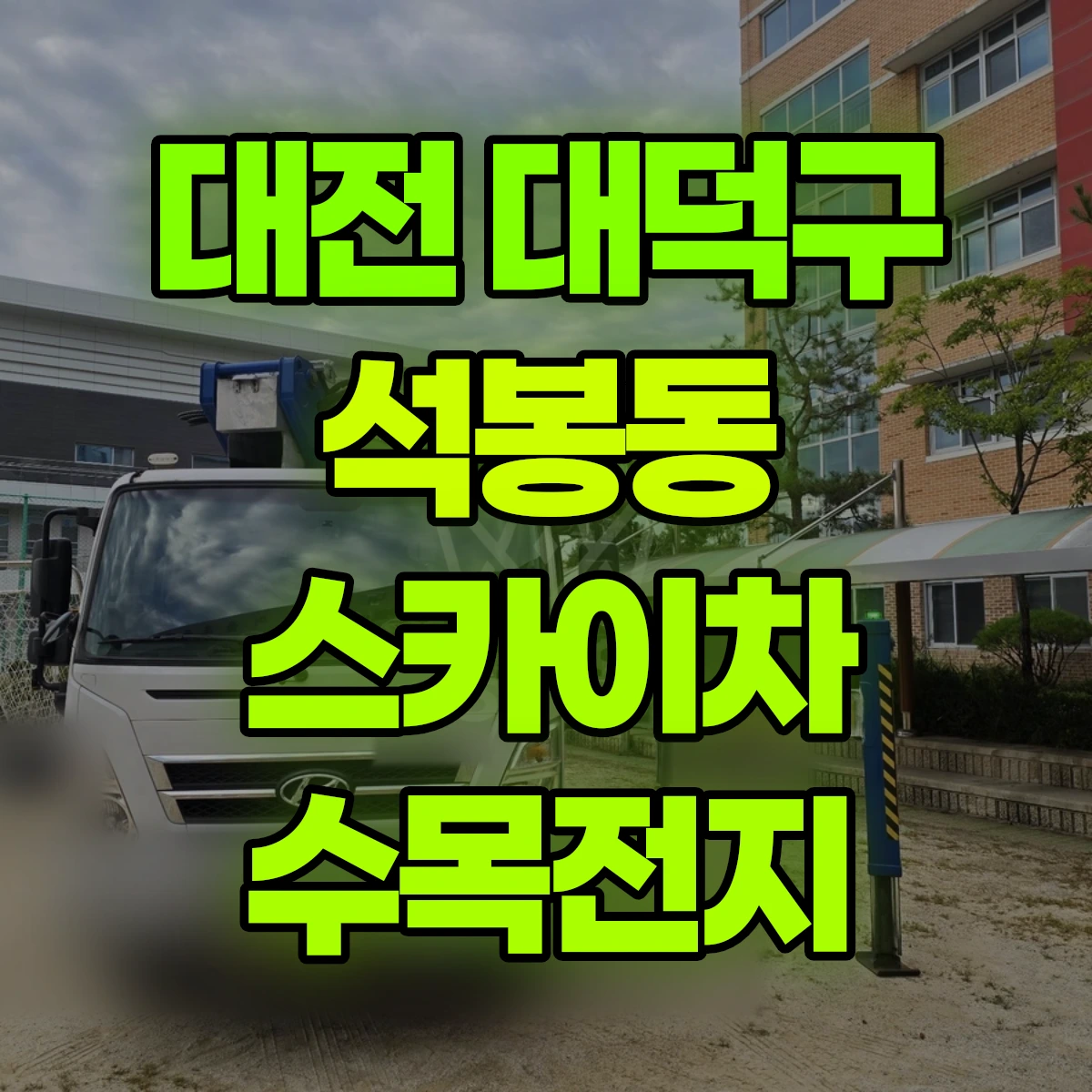 대전 대덕구 석봉동 스카이차 수목전지 비용