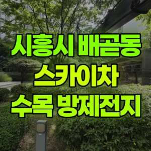경기 시흥시 스카이차 수목방제.전지작업 반나절 비용