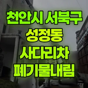 충남 천안시 2.5톤 사다리차 폐기물내림 일대 후기